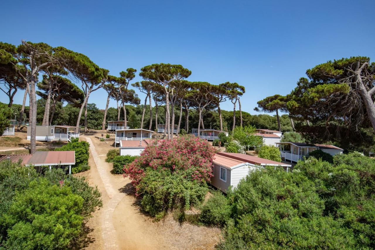 Parco Della Gallinara Lido dei Pini Exteriör bild
