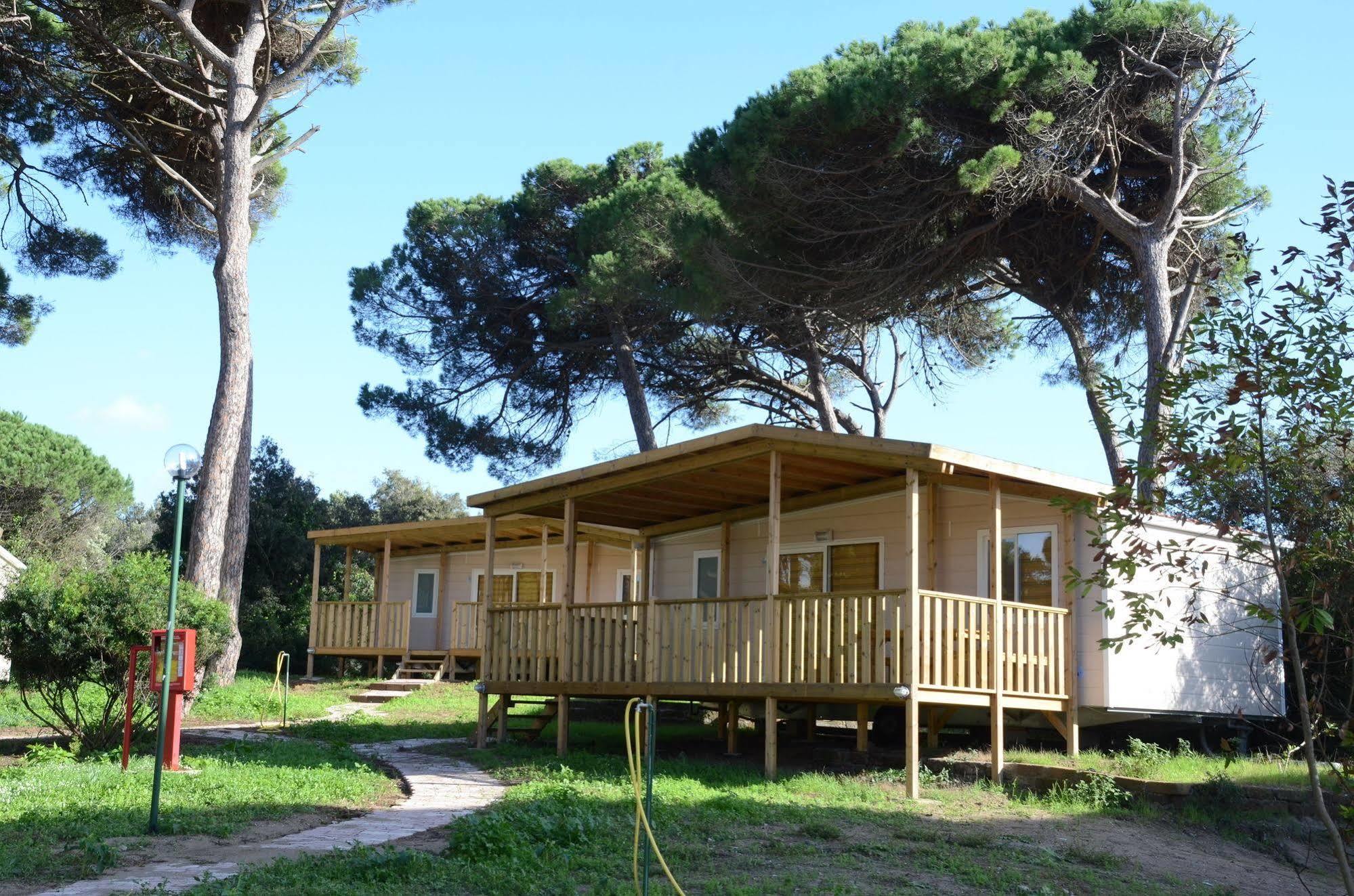 Parco Della Gallinara Lido dei Pini Exteriör bild